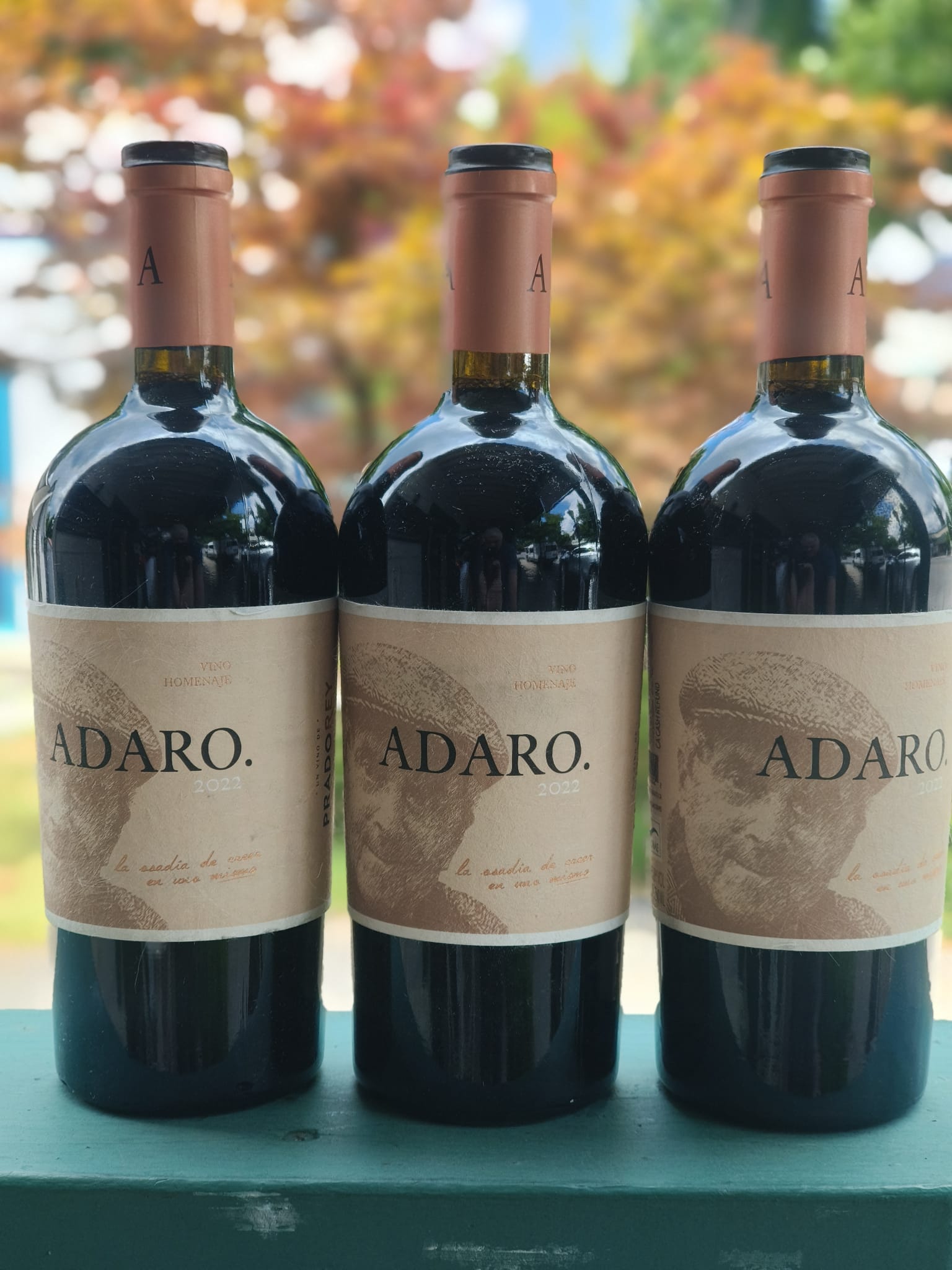Adaro wine from Ribera del Duero